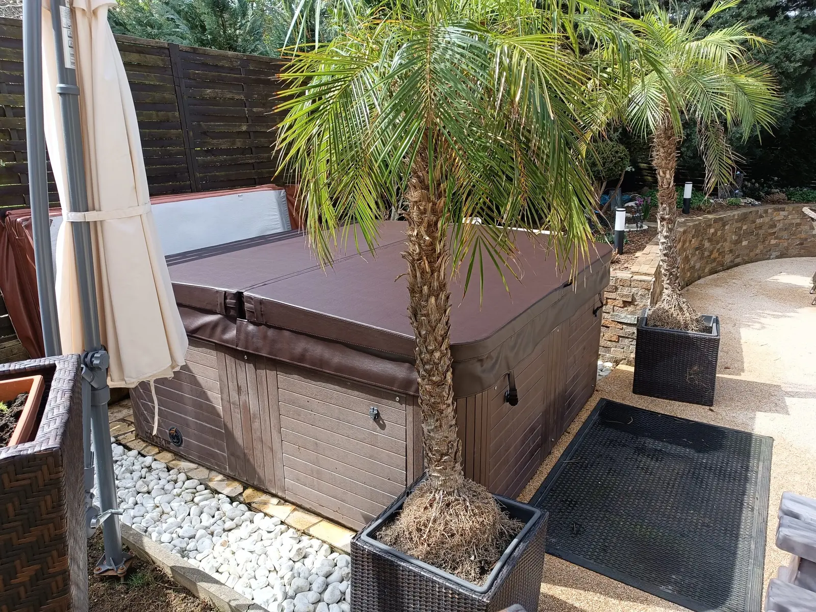 Barna thermo tető négyzetes swim spa medencén, pálmák között